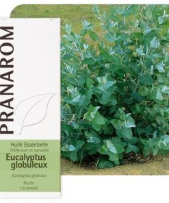 ET.ULJE EUKALIPTUS GLOB/DJEČIJI/ PRANARO