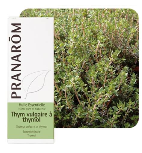ET.ULJE TIMIJAN a 10 ml PRANAROM*11/25