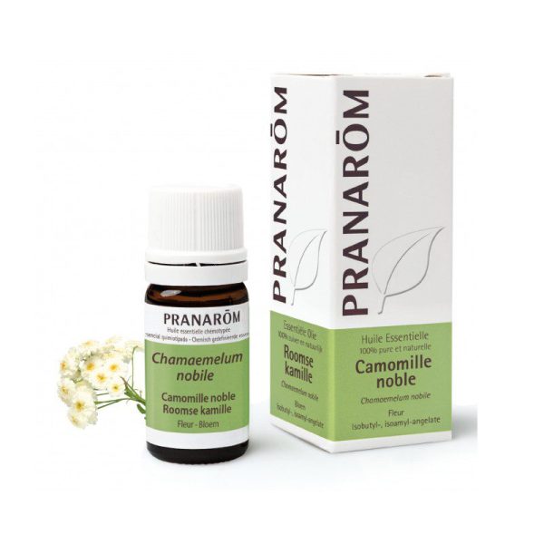 Pranarom Kamilica rimska eterično ulje (Chamaemelum nobile l.) 5 ml - Slika 2